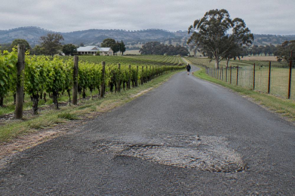 A narrow country road running between vineyard rows with no footpath