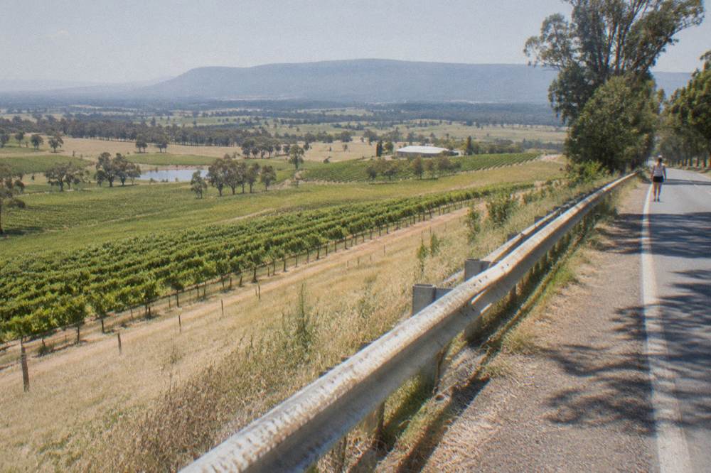 A paved road shoulder beside open vineyard farmland under a wide sky