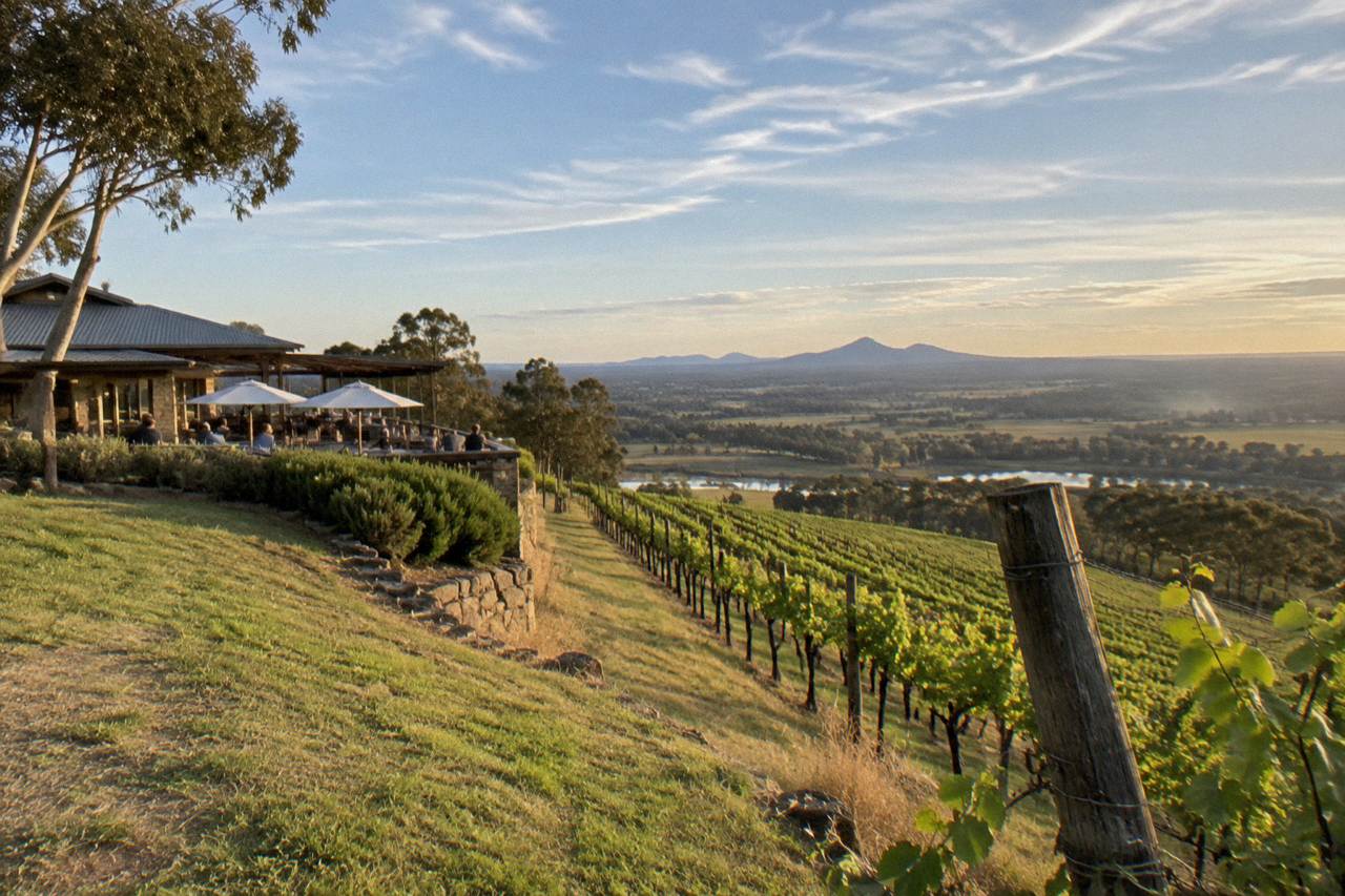 Rows of grapevines rolling across a Hunter Valley hillside under a wide sky