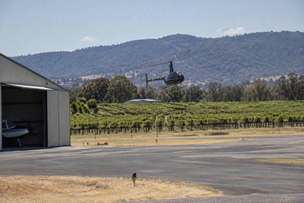 A light helicopter flying low over rows of Hunter Valley vineyards in morning light