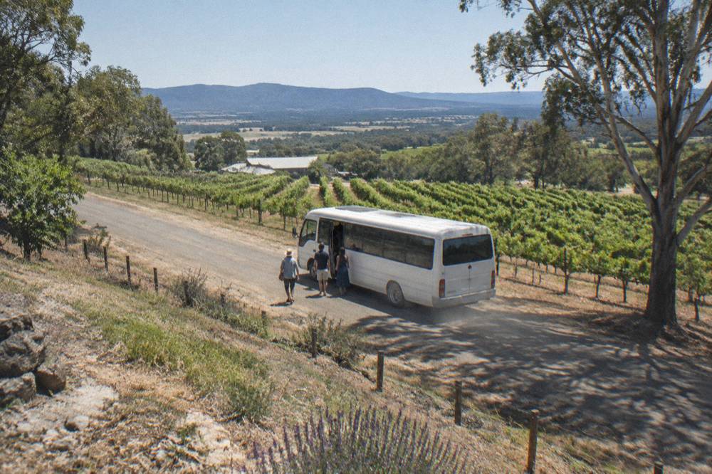 A minibus parked on a country road beside vineyards in Pokolbin