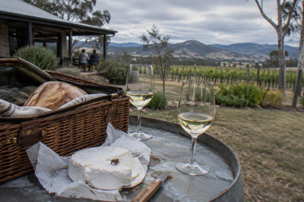 A picnic hamper and wine glasses set on a barrel among vines