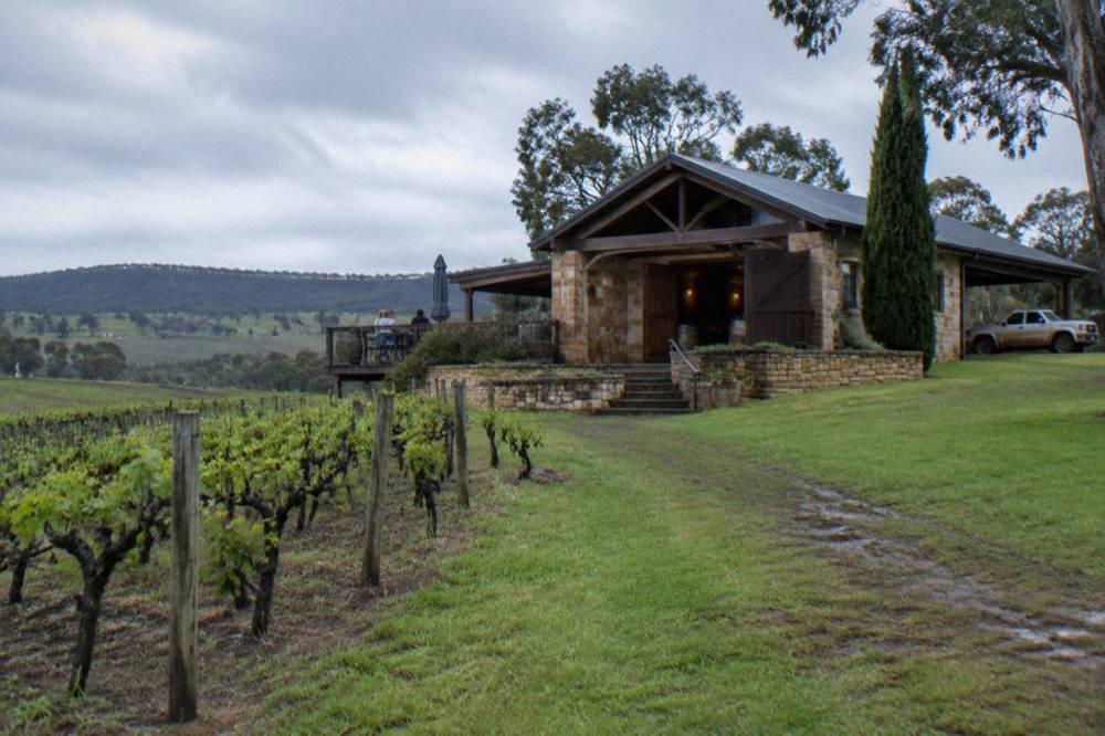 A rustic cellar door building set among rolling vineyards in the late afternoon