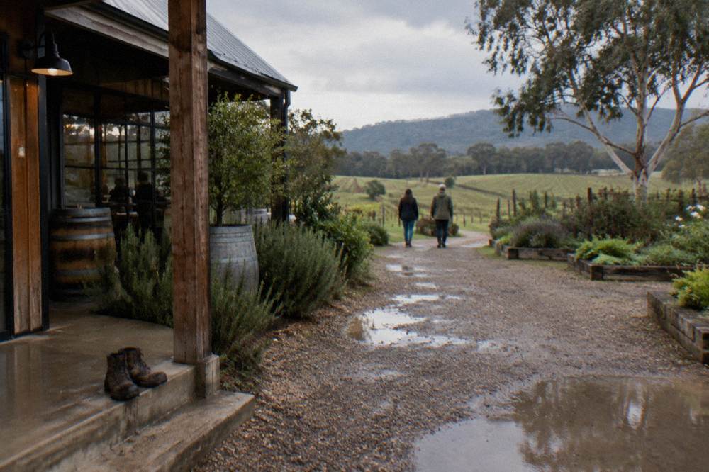 A gravel path leading between a rustic timber building and garden beds at a winery