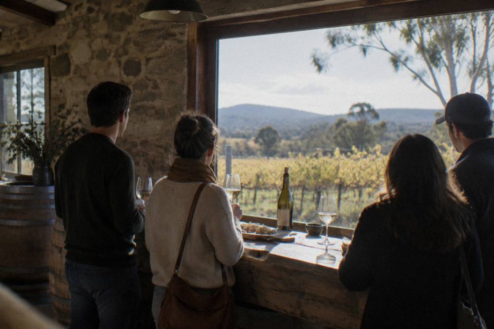 A small group standing at a timber cellar door tasting counter with wine glasses