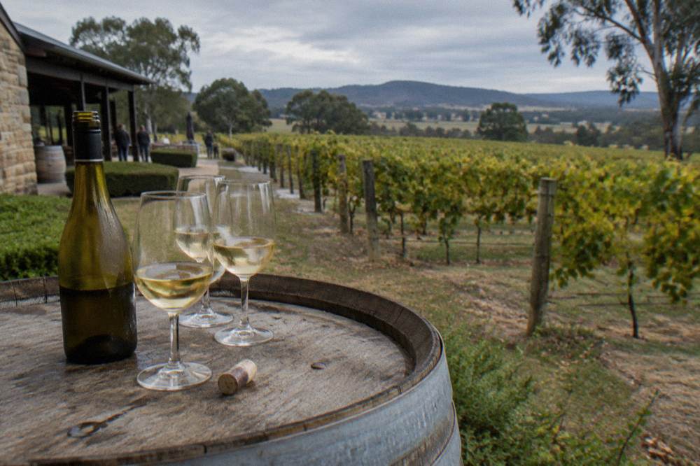 An open bottle of white wine and filled glasses on a barrel top beside a vineyard