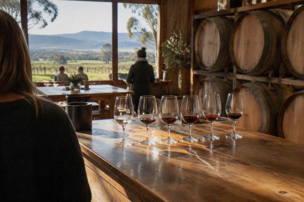 A sunlit cellar door tasting room with barrels along one wall and glasses lined up on a timber counter