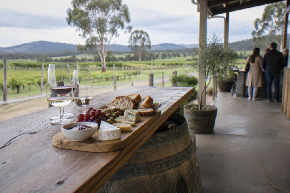 A cellar door tasting counter with wine glasses and cheese platter set among timber barrels