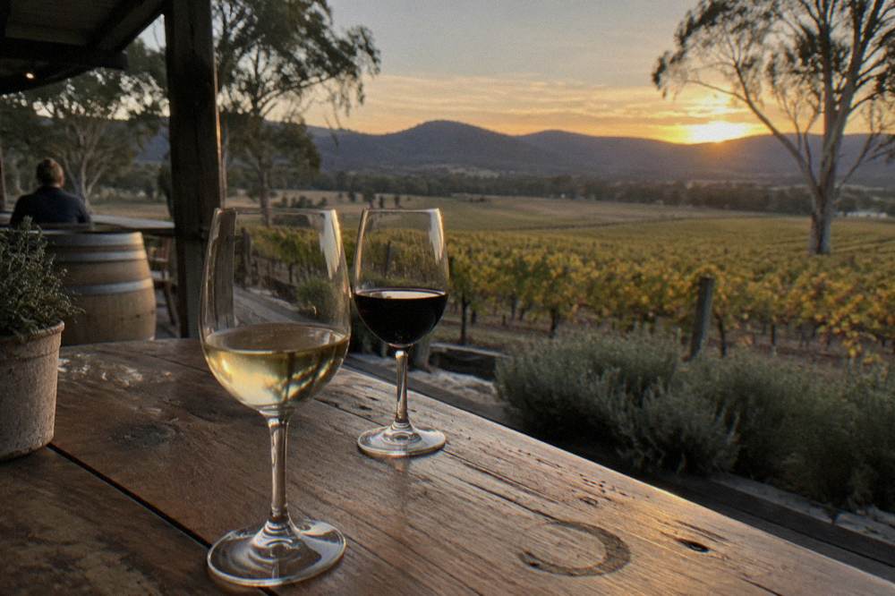 Glasses of white and red wine on a timber tasting table overlooking vineyard rows
