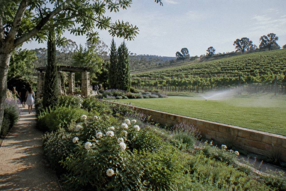 A vine-covered hillside estate with a cellar door building among rolling green rows of vines