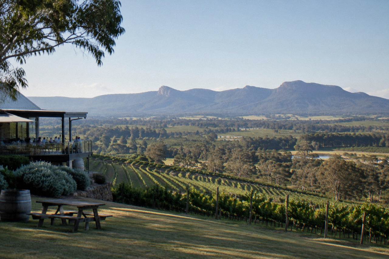 Rows of grapevines rolling across a Hunter Valley hillside under a wide sky