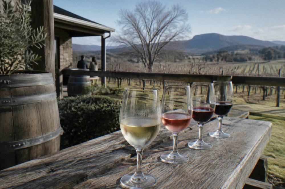 A row of filled tasting glasses on a wooden cellar door bench