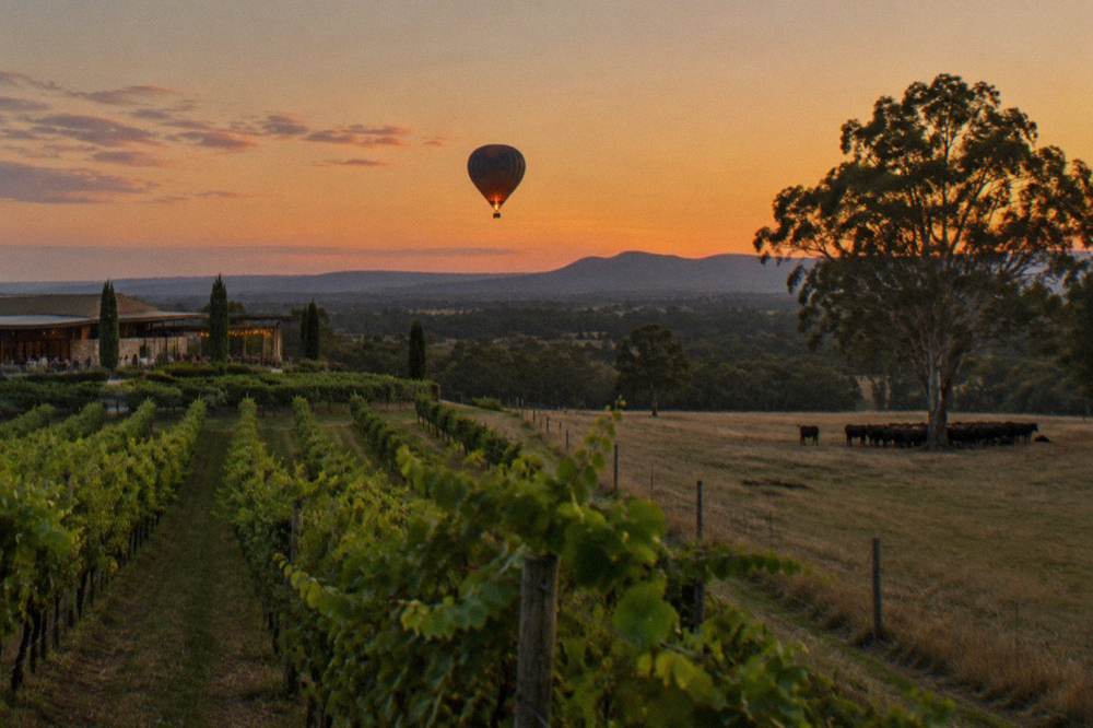 A hot air balloon drifting above vineyards at sunrise