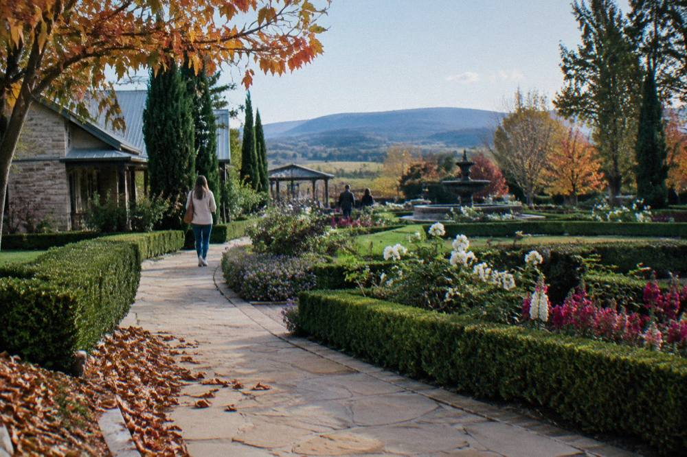 Formal garden beds and manicured hedges in a large display garden on a clear day