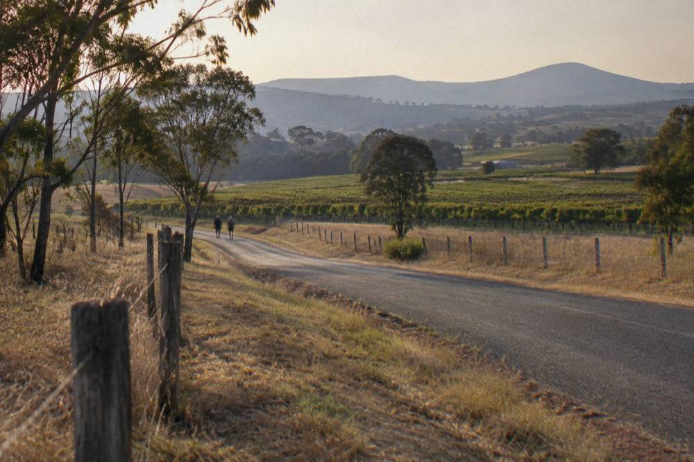 Country road winding past fenced paddocks and vineyards toward low hills