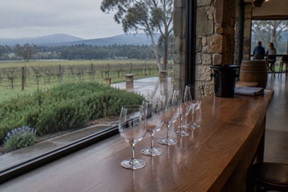Cellar door tasting bench with wine glasses lined up along a timber counter