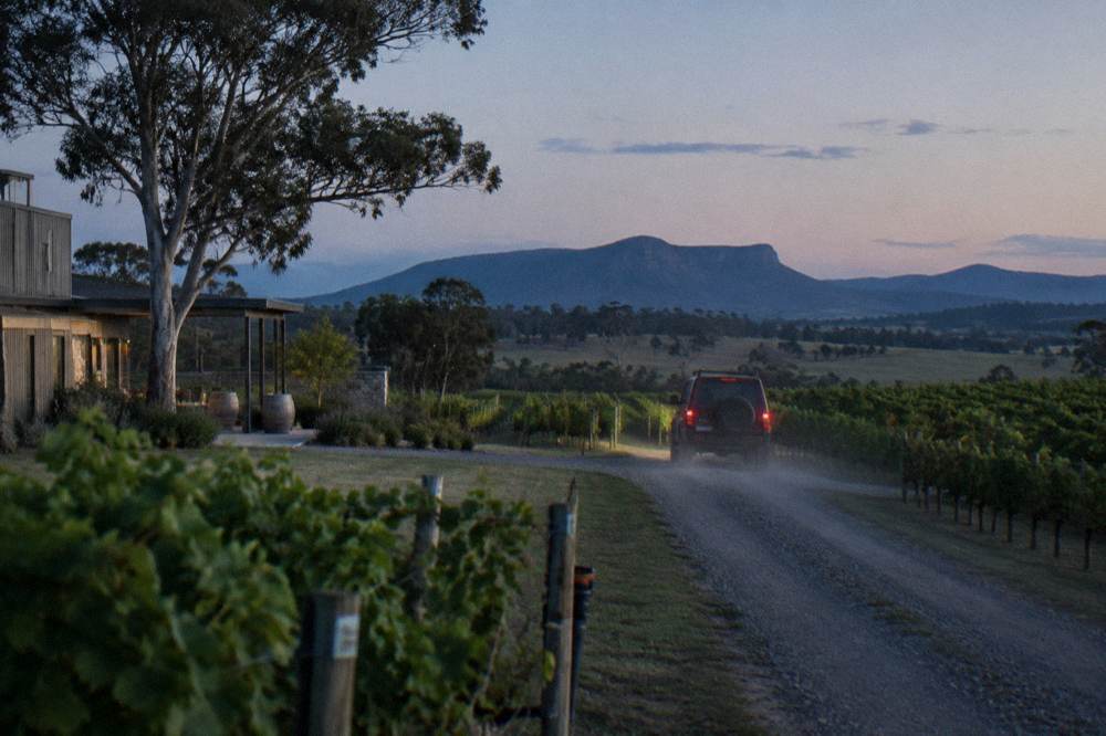 Private tour vehicle on a driveway between vineyard rows