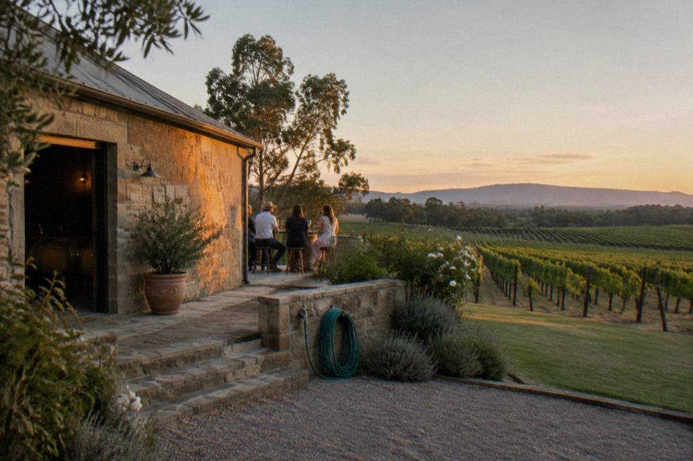 A stone cellar door building above rows of vines under a wide sky