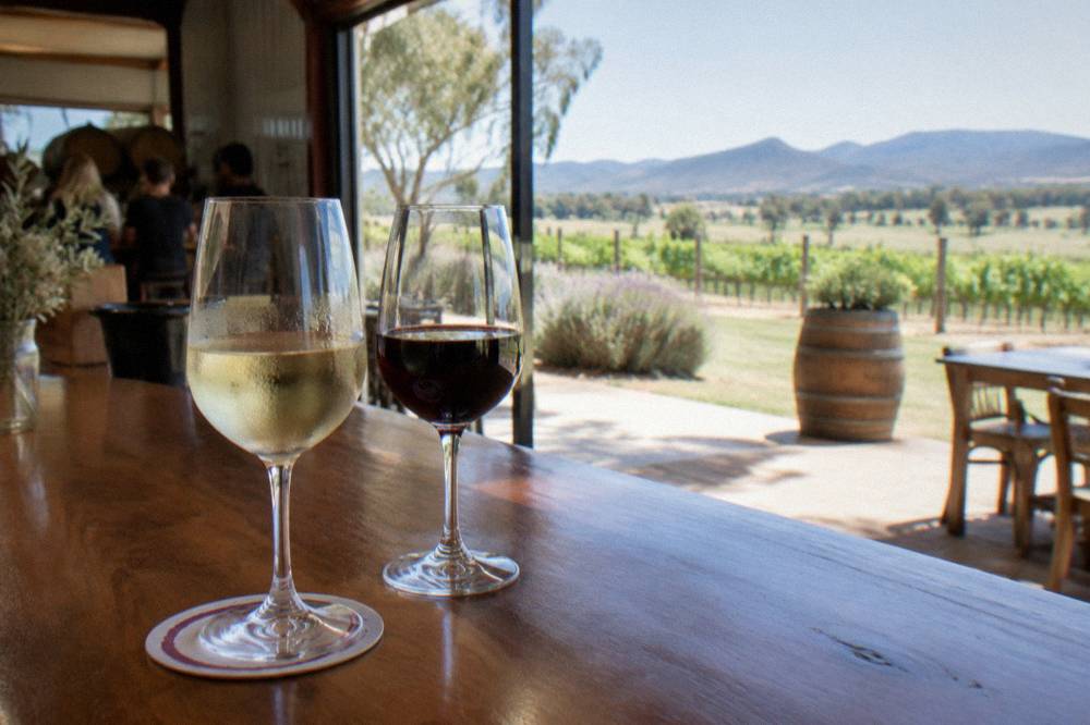 Glasses of white and red wine on a timber tasting bar