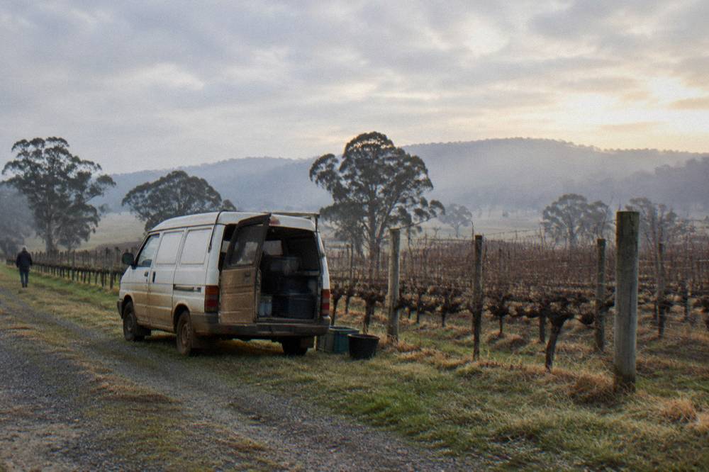 A small van parked on a gravel road between vineyard rows