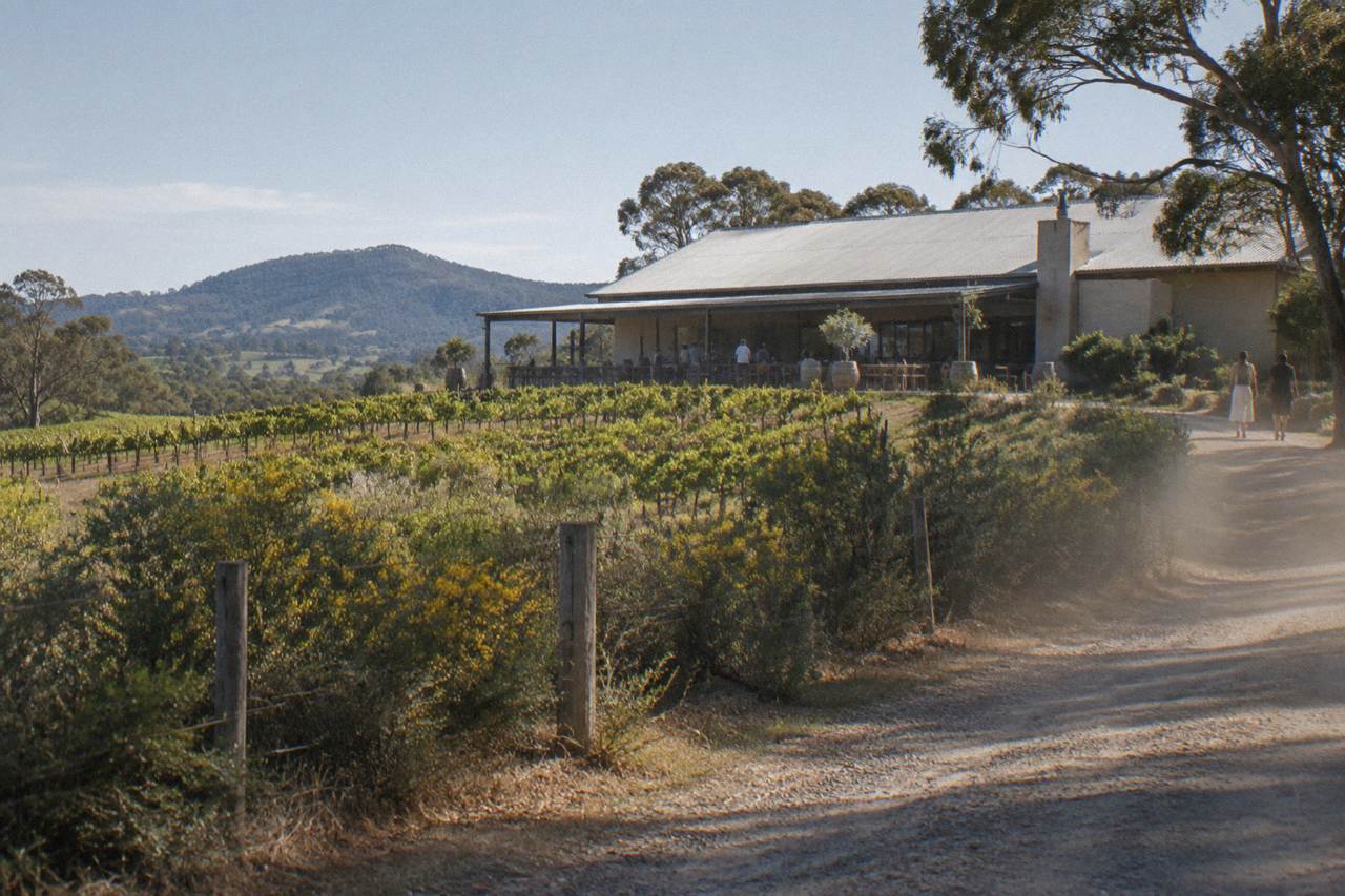 Rows of grapevines on a low hill behind a Hunter Valley cellar door building