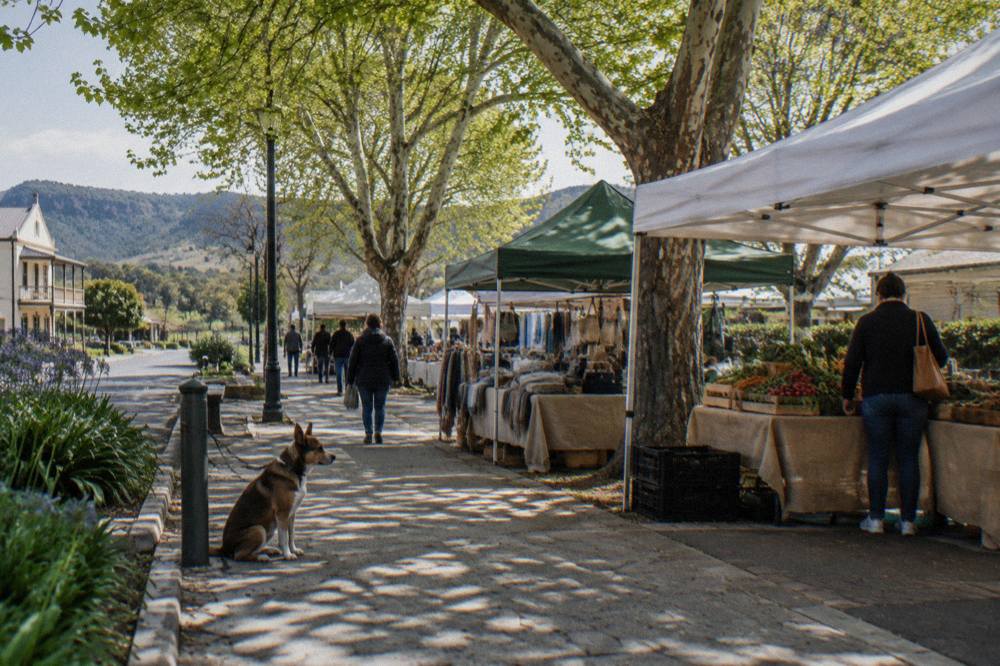 Outdoor market stalls shaded by trees on a sunny morning in a rural Australian town
