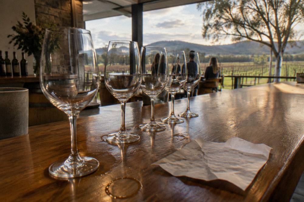 Wine glasses lined up on a tasting bar in a small cellar door