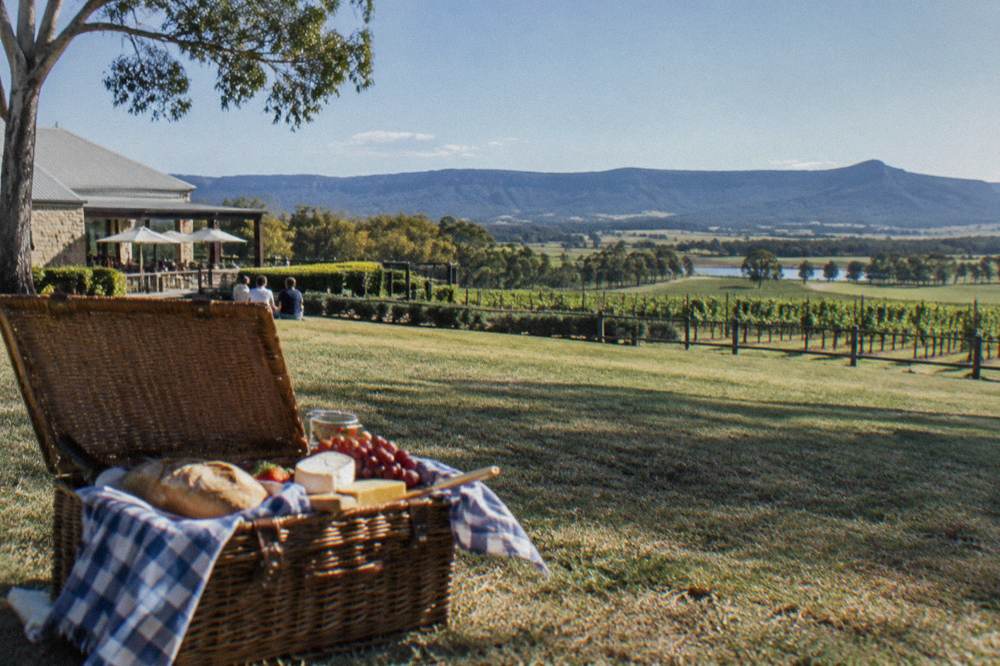 A picnic hamper set on a lawn overlooking vineyards and distant hills