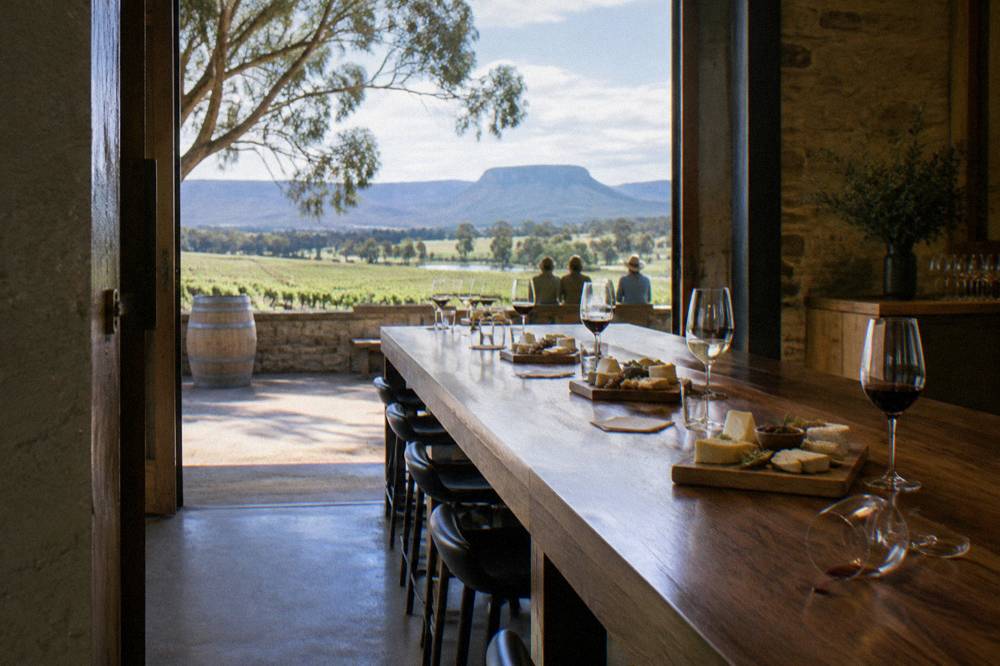 A cellar door bar with cheese boards and wine glasses arranged for a guided tasting