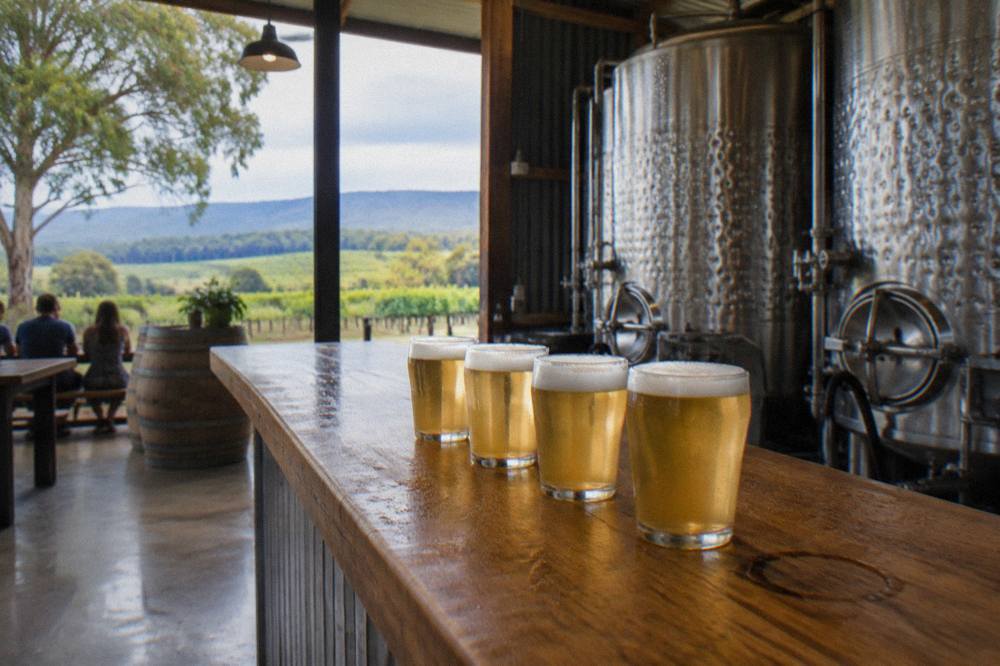Craft beer glasses lined up on a wooden brewery bar with fermentation tanks behind