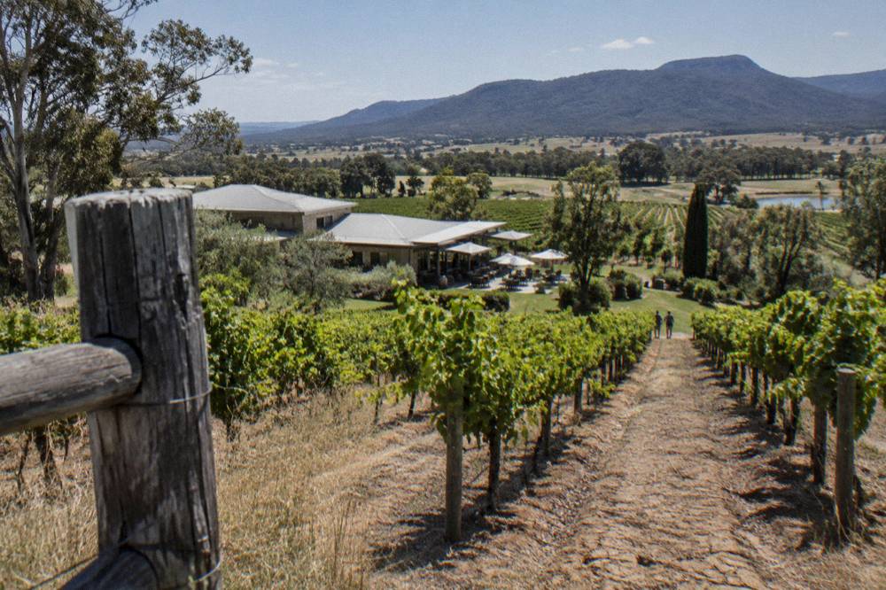 Sunlight falling across a vineyard slope with a rustic fence post in the foreground