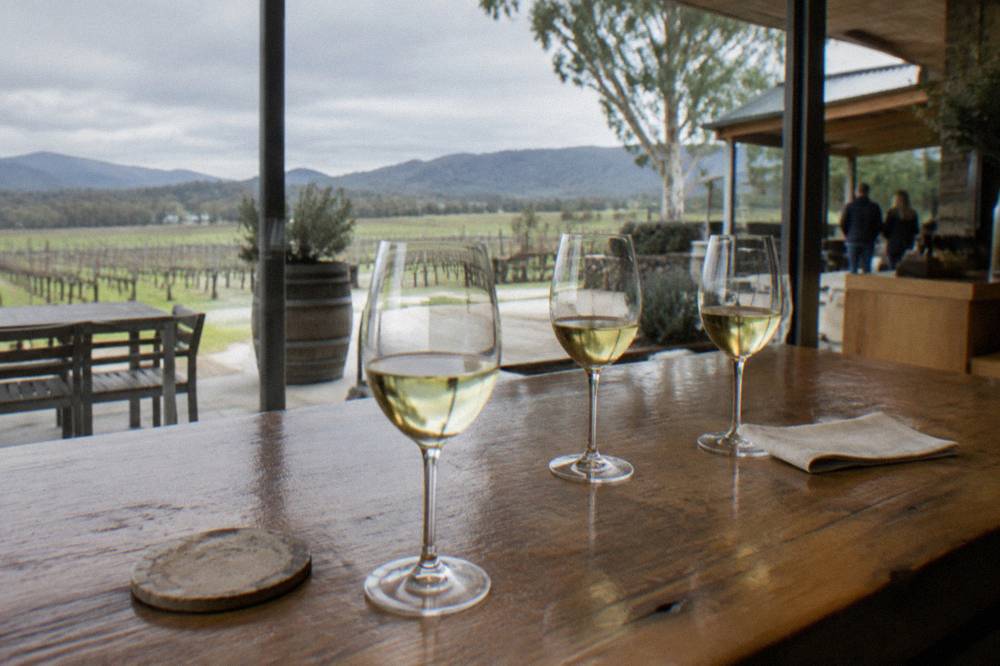 A tasting bench with three glasses of white wine on a timber counter