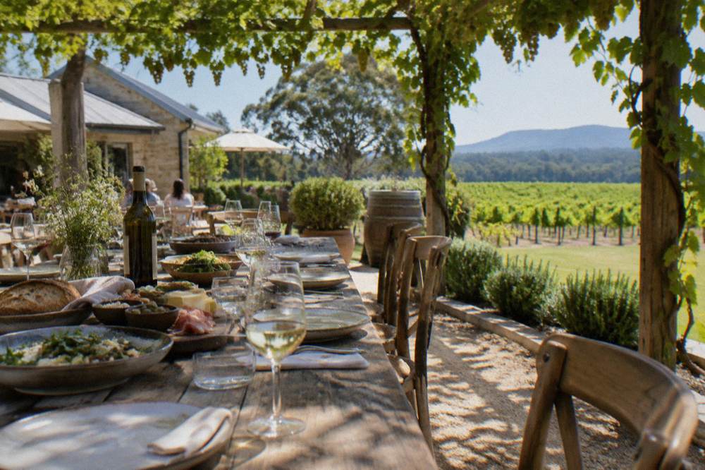 A long luncheon table set with platters of food and wine glasses under a vine-covered pergola