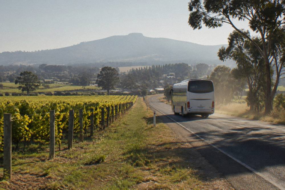 A tour coach travelling along a country road lined with vineyards in the Hunter Valley