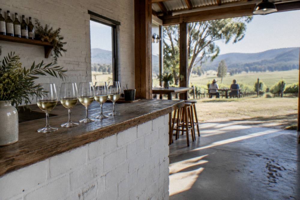 A cellar door tasting counter with glasses of white wine arranged in a row