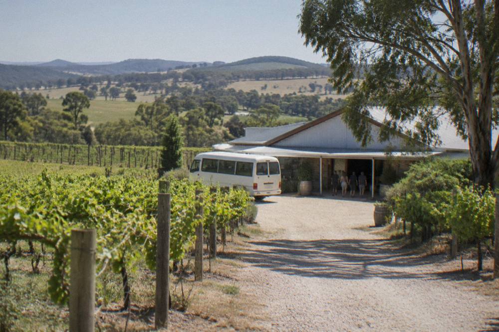 A mini bus parked on a gravel driveway between rows of grapevines with a cellar door building behind