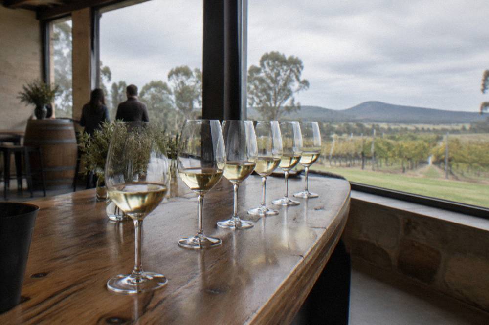 A cellar door tasting counter with glasses of white wine lined up on a timber bar