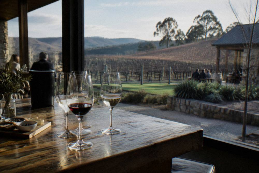 A group of wine glasses on a timber tasting bench beside a window overlooking vineyards