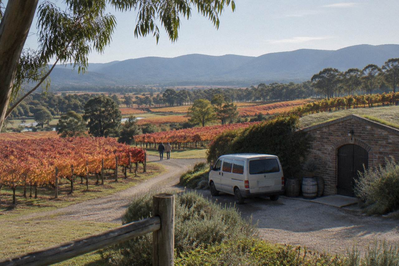 Vineyard rows on a low hill with a small van parked on a gravel lane beside a cellar door