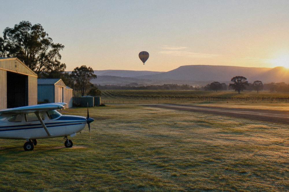 A hot air balloon drifting above vineyard rows in soft morning light