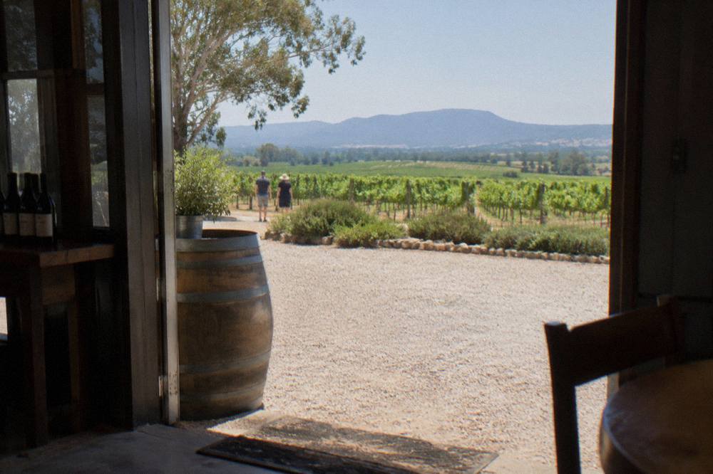 A gravel driveway leading to a Hunter Valley cellar door surrounded by vineyards