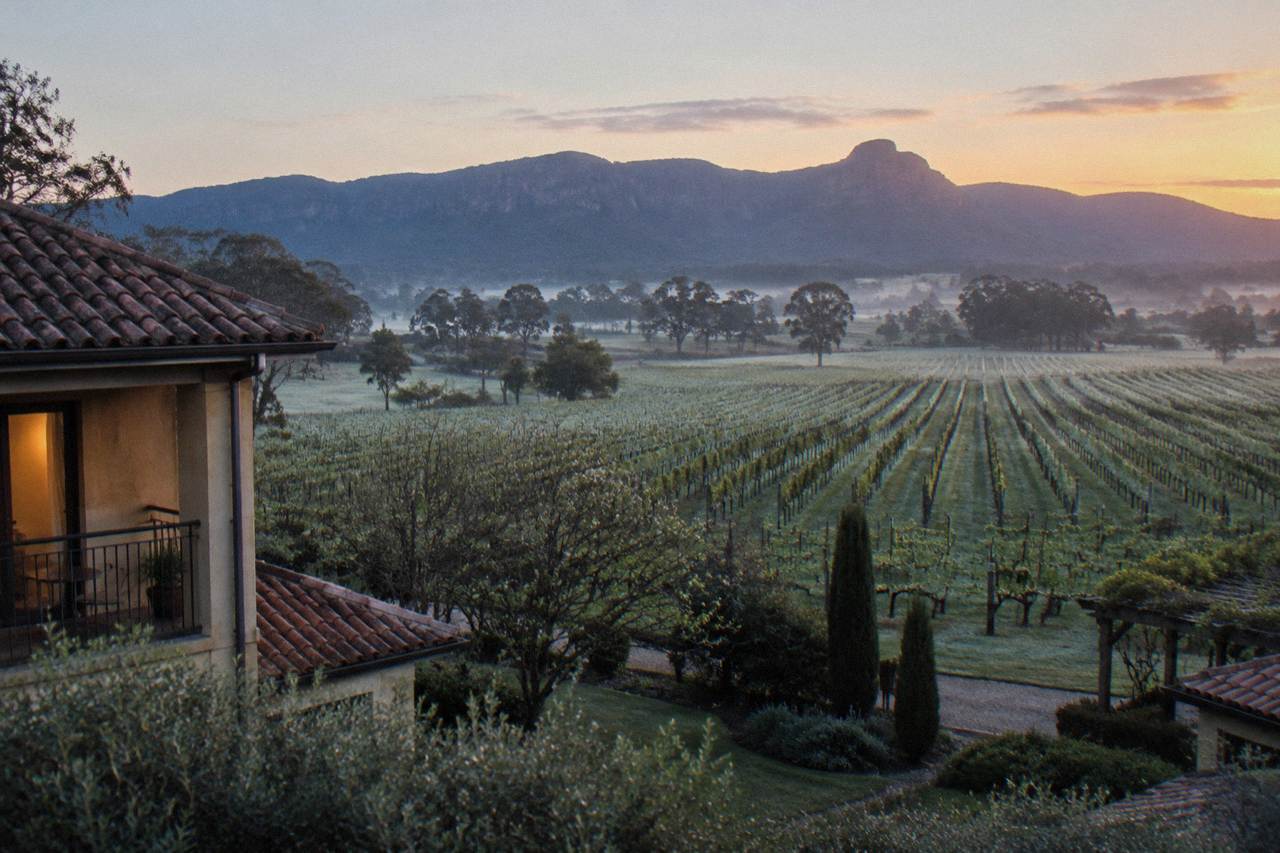 Rows of grapevines at dawn with a low-rise resort building behind them among the hills